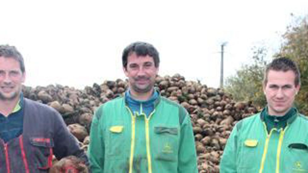 Les trois associés,François Plessis, son frère Frédéric et Fabien Baron, ont récolté cette année 80 t/ha de betteraves fourragères sur une surface plantée de 5 ha.Denis Lehé